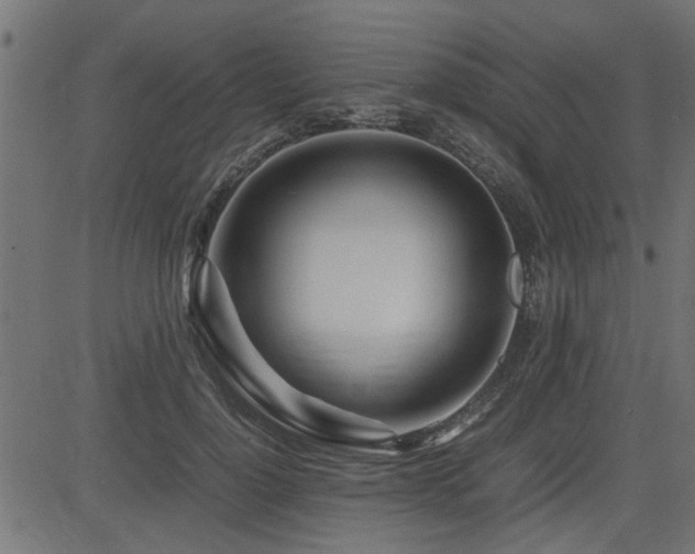 X0000082950748200702011242