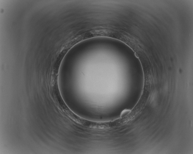 X0000082950751200702011242