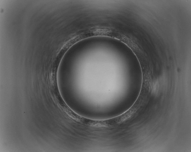 X0000082950755200702011242