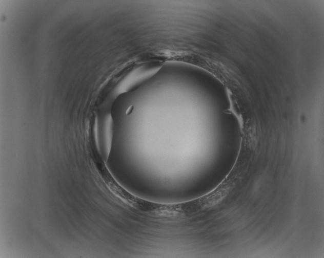 X0000082950756200702011242