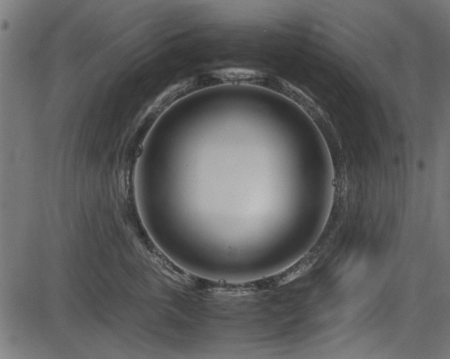 X0000082950763200702011242