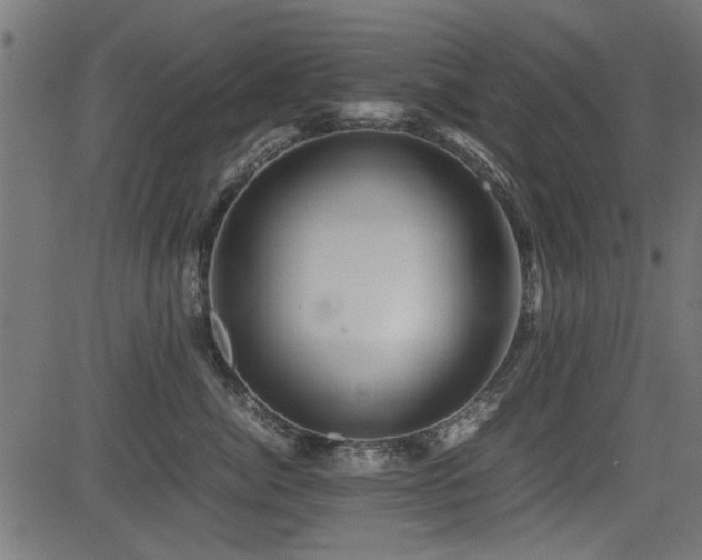 X0000082950764200702011242