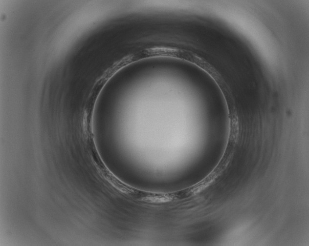 X0000082950765200702011242