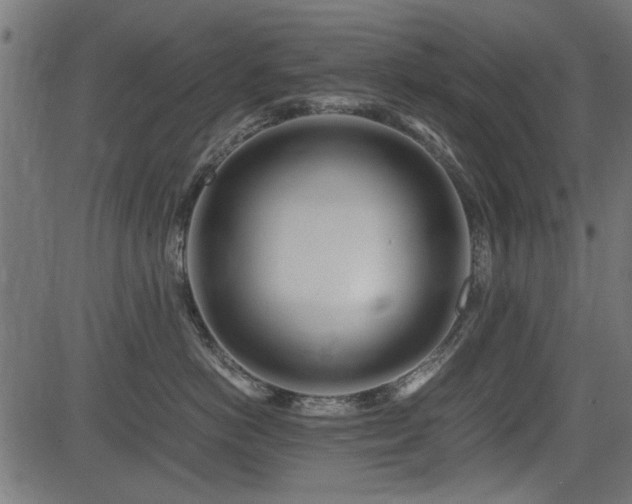 X0000082950766200702011242
