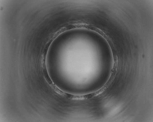 X0000082950767200702011242