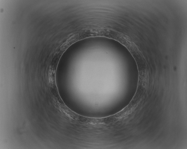 X0000082950770200702011241