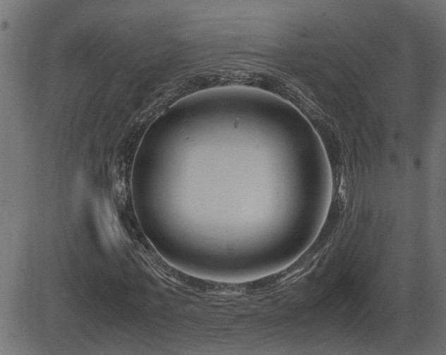 X0000082950771200702011241