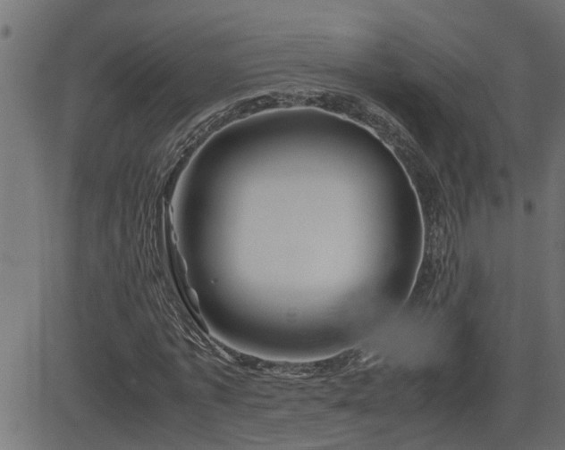 X0000082950773200702011241