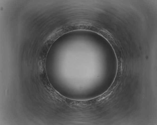 X0000082950774200702011241