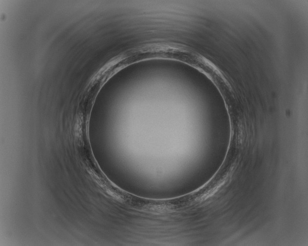 X0000082950778200702011241
