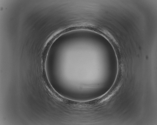 X0000082950781200702011241