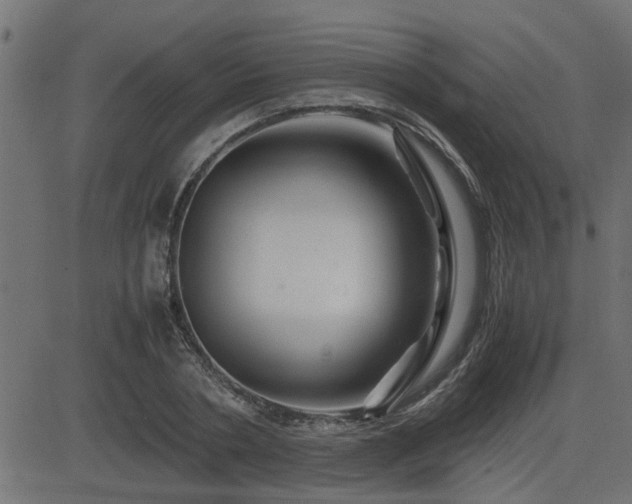 X0000082950786200702011241