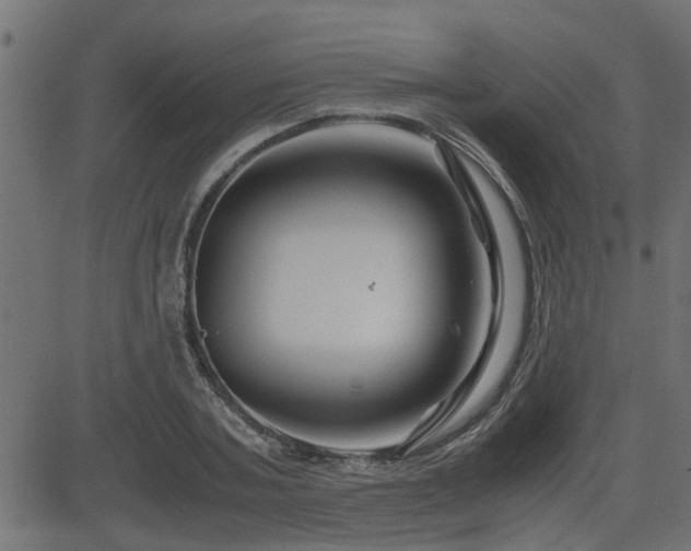 X0000082950787200702011241