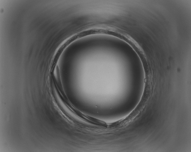 X0000082950791200702011241