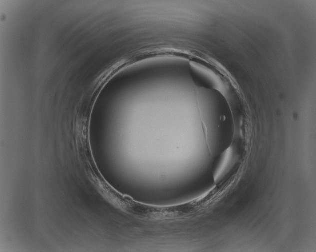 X0000082950793200702011241