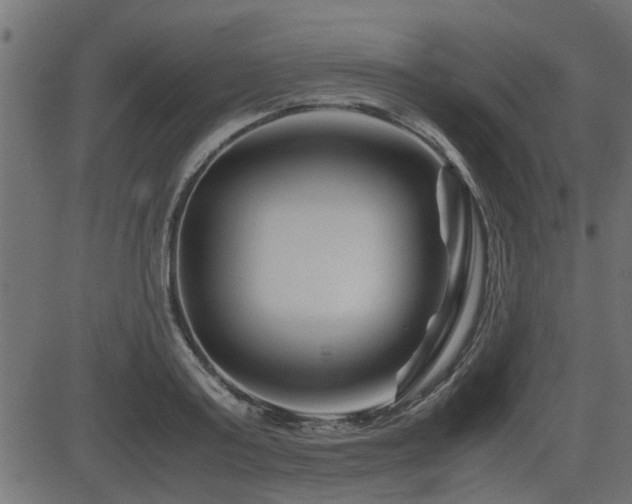 X0000082950795200702011241