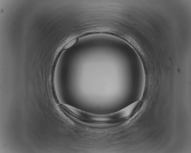 X0000082950797200702011241