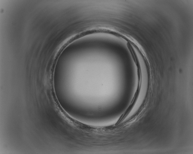 X0000082950799200702011241