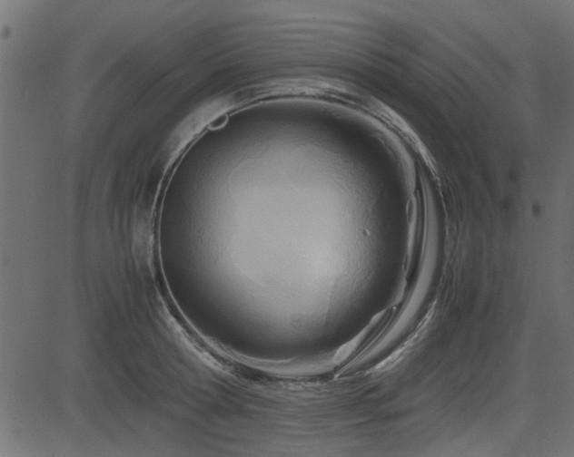 X0000082950802200702011241