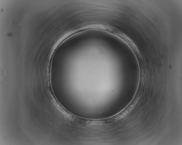 X0000082950808200702011241
