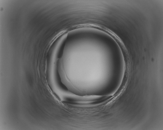 X0000082950809200702011241