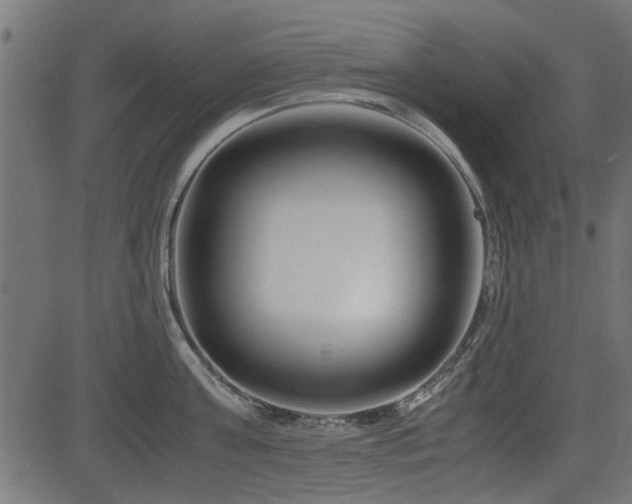 X0000082950811200702011241