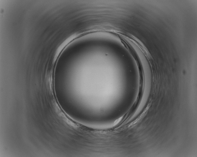 X0000082950812200702011241