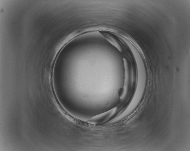 X0000082950813200702011241