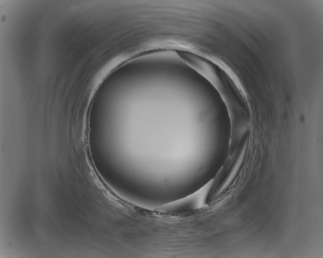 X0000082950815200702011241