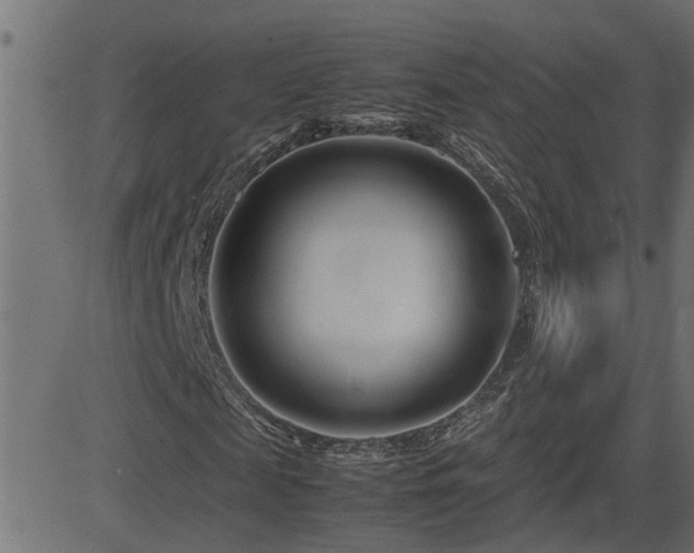 X0000082950817200702011240