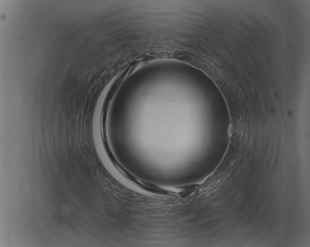 X0000082950818200702011240