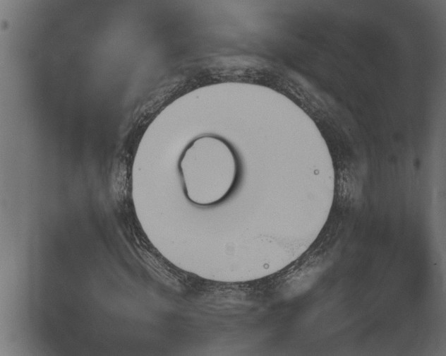 X0000082950820200702011240