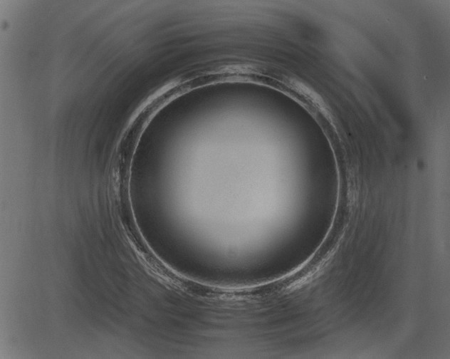 X0000082950827200702011240