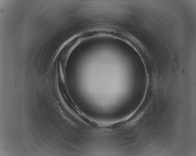 X0000082950830200702011240