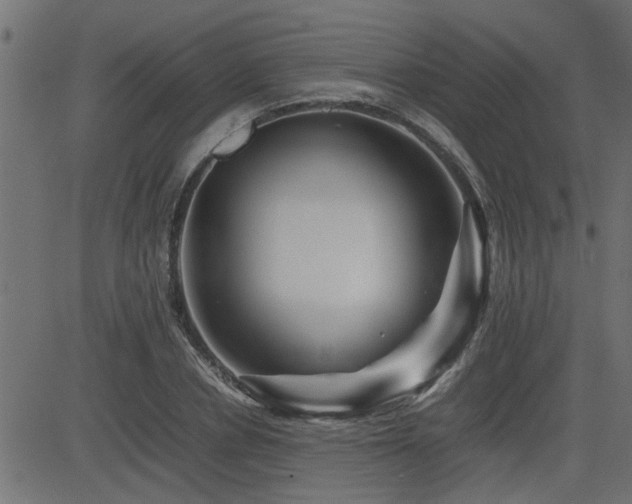 X0000082950834200702011240