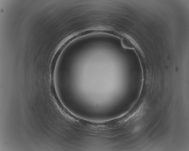 X0000082950837200702011240