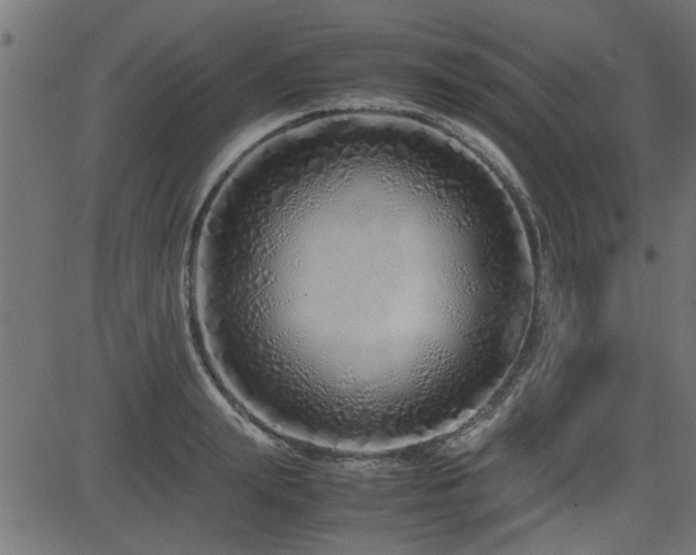 X0000082950847200702011240