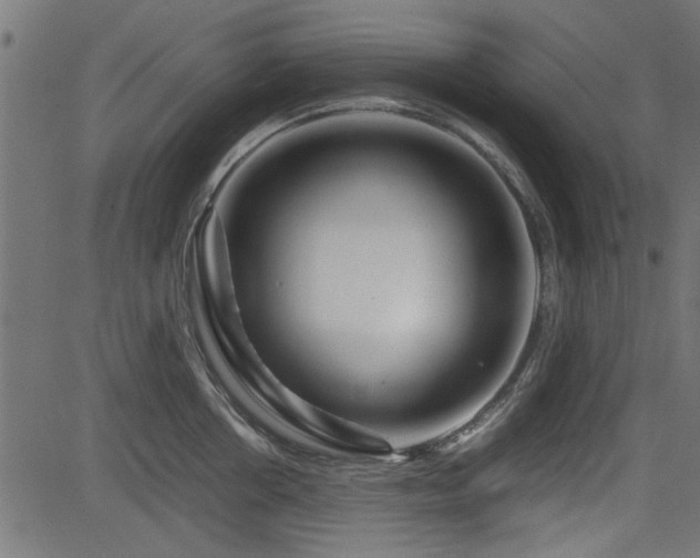 X0000082950858200702011240