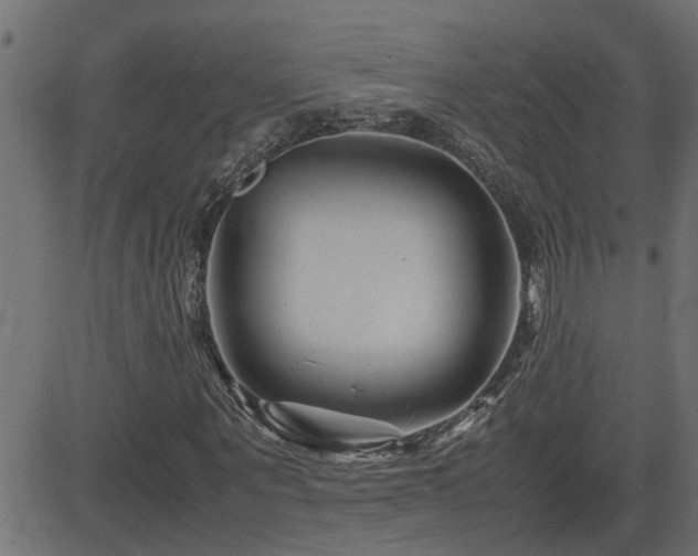 X0000082950867200702011240