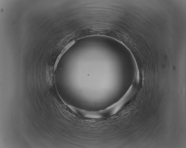 X0000082950868200702011240