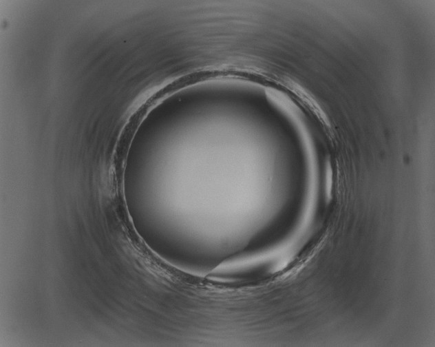 X0000082950876200702011240