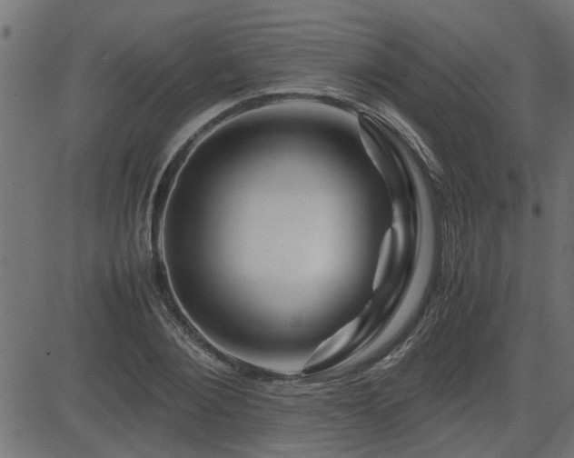 X0000082950884200702011239