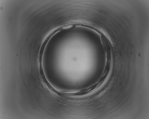 X0000082950888200702011239