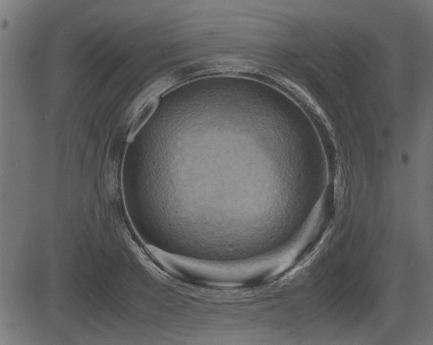 X0000082950889200702011239