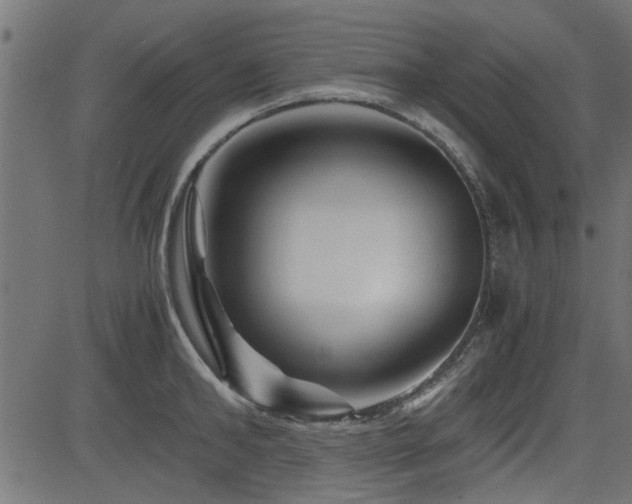 X0000082950902200702011239