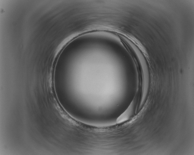 X0000082950904200702011239