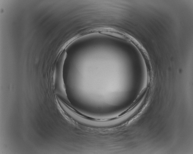 X0000082950905200702011239