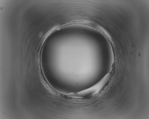 X0000082950907200702011239