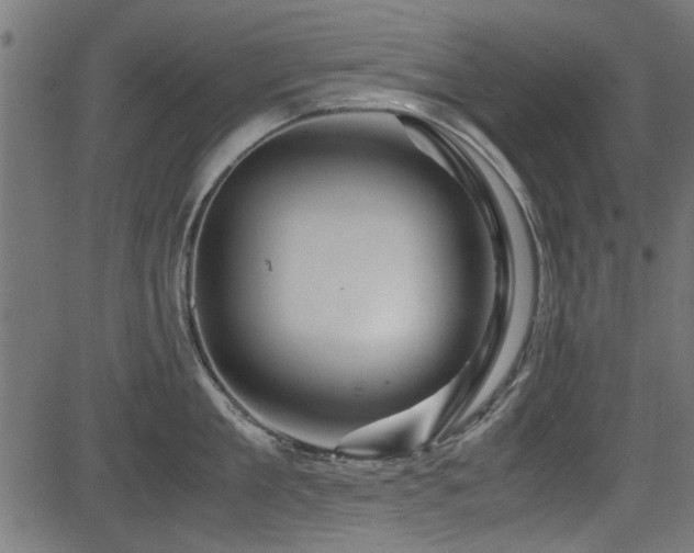 X0000082950909200702011239