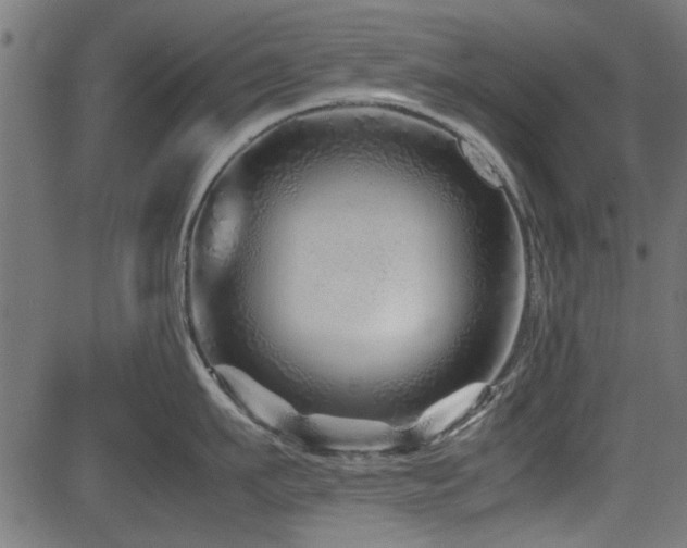X0000082950911200702011239